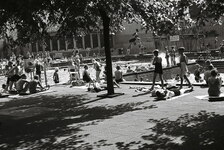 Freibad mit Sprungbrettern um 1939. Die Beschilderung zeigt den Hinweis "Die Schwimmer werden gebeten, während des Springens das Sprungfeld frei zu lassen."Bild: Stadt Krefeld, Stadtarchiv