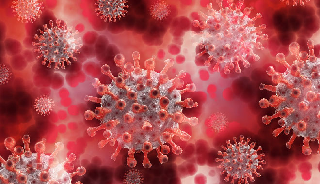 Darstellung des Corona-Virus. Foto: Gerd Altmann / Pixabay
