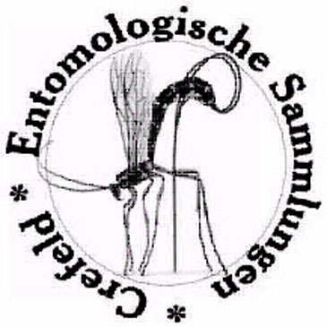 Logo der Entomologischen Sammlungen