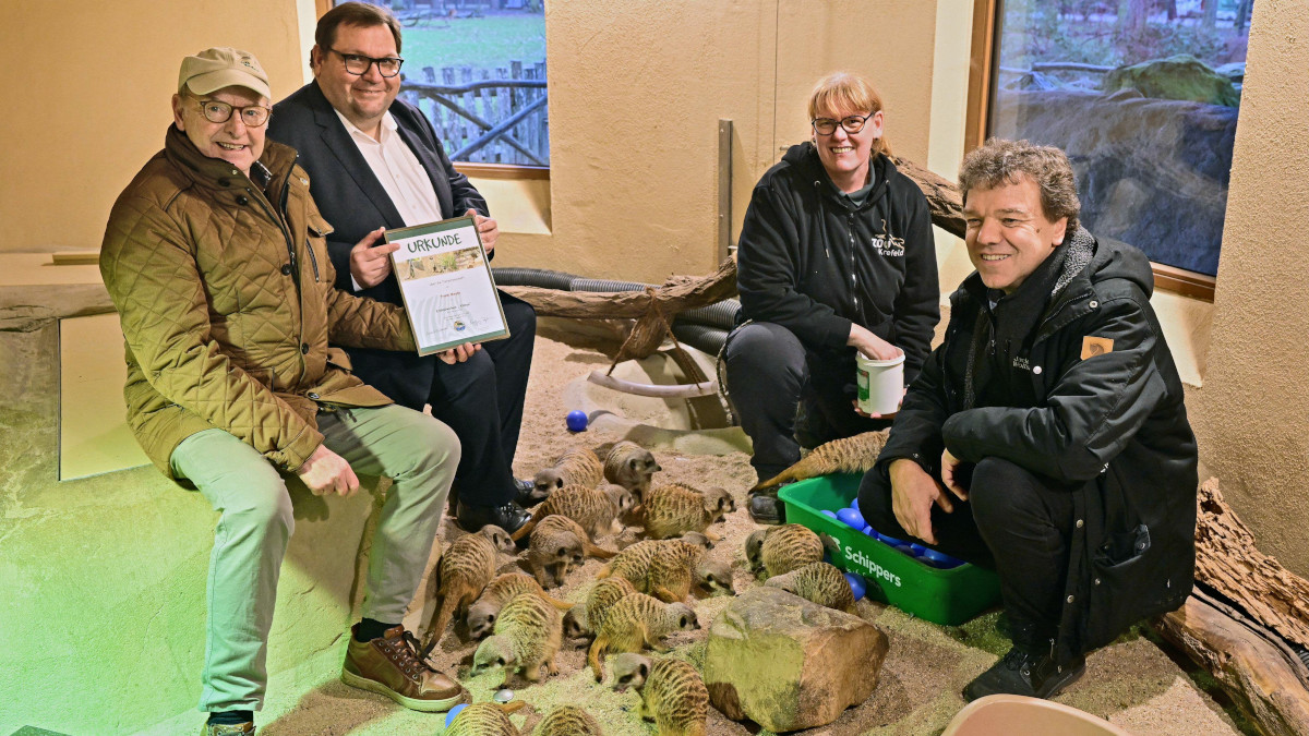 Oberbürgermeister Frank Meyer hat eine Tierpatenschaft für das Erdmännchen Kimya im Krefelder Zoo übernommen.Foto: Stadt Krefeld, Presse und Kommunikation