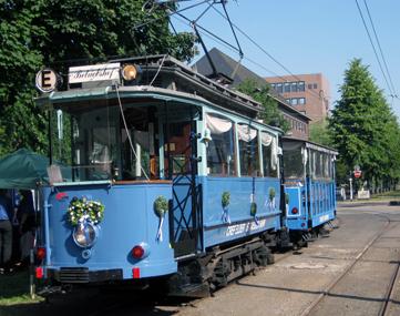 Blauer Enzian - Linie 1